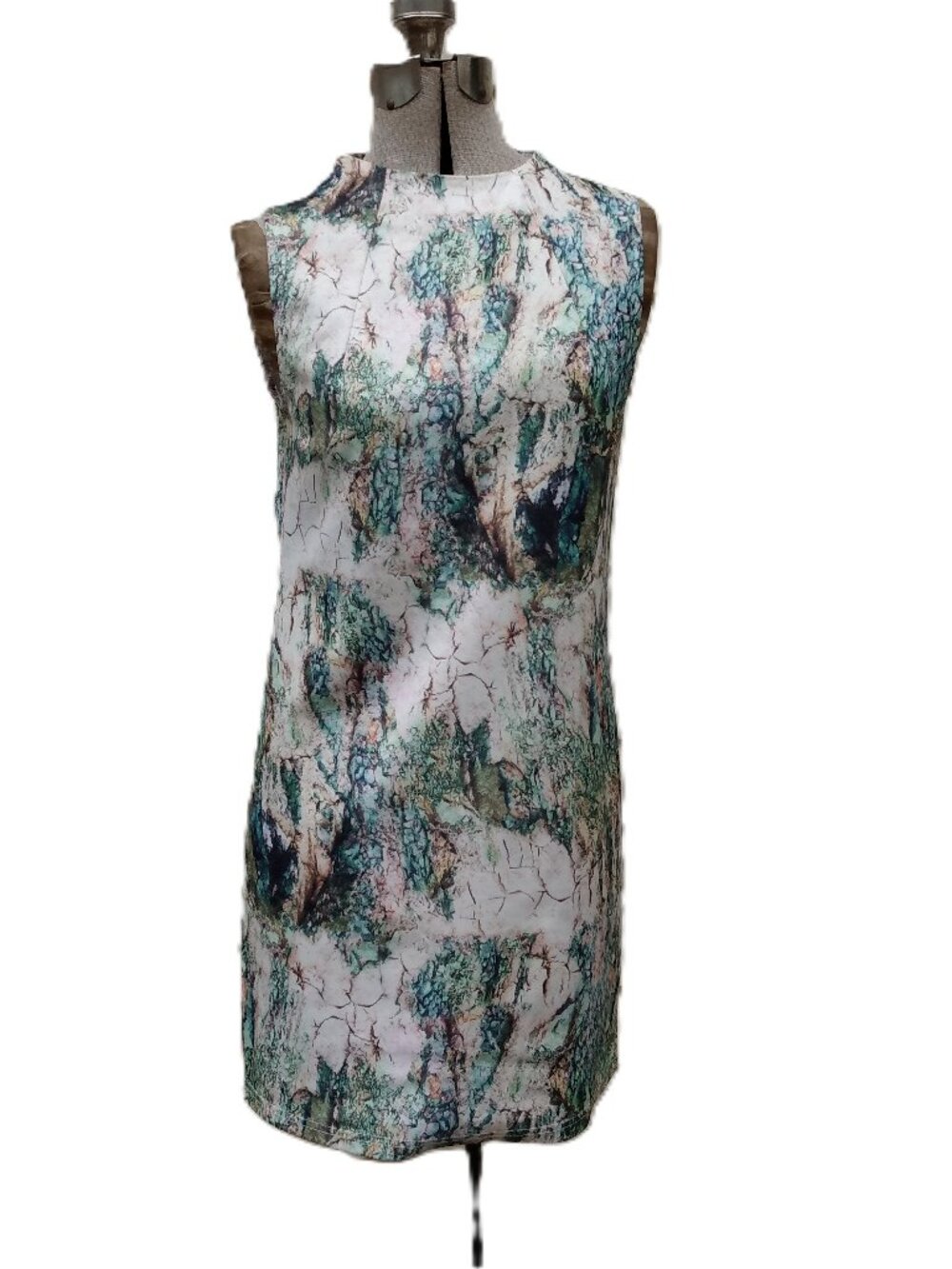 Spicysugar Dress Size Small Sleeveless High Neckline Rock Mountain Landscape